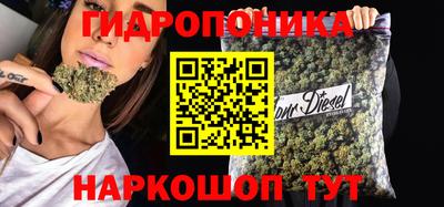 прущие крисы Ярославль