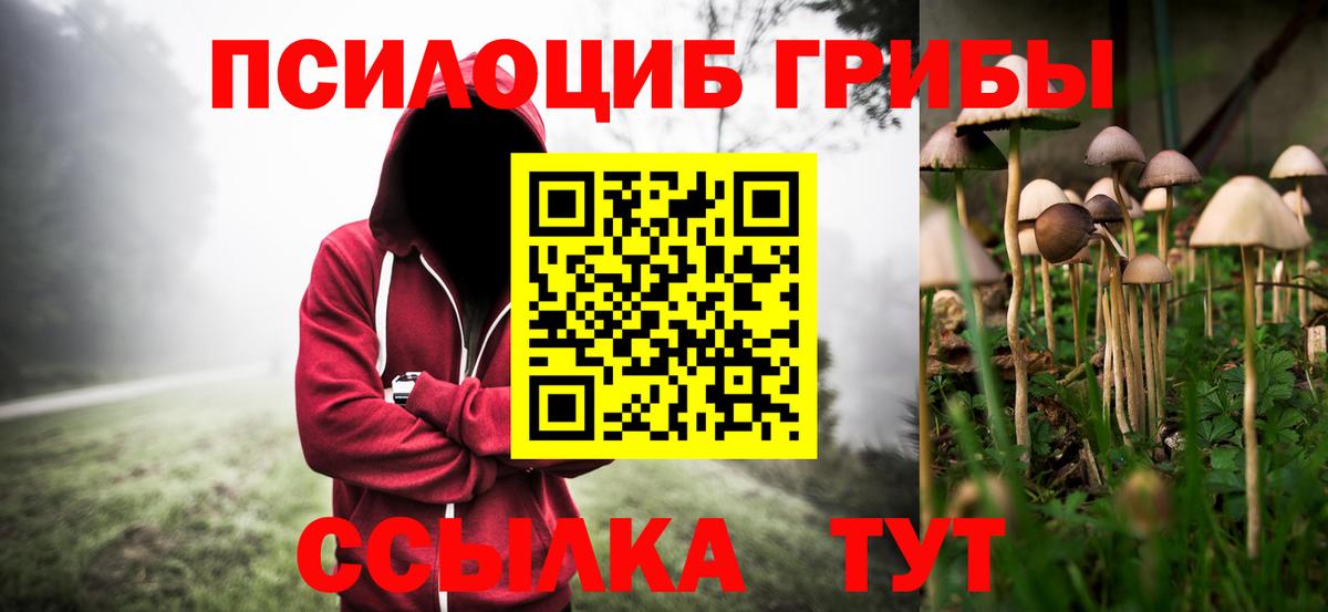 Белово  где найти наркотики  Псилоцибиновые грибы Magic Shrooms  Вход с VPN  Псилоцибиновые грибы Magic Shrooms 